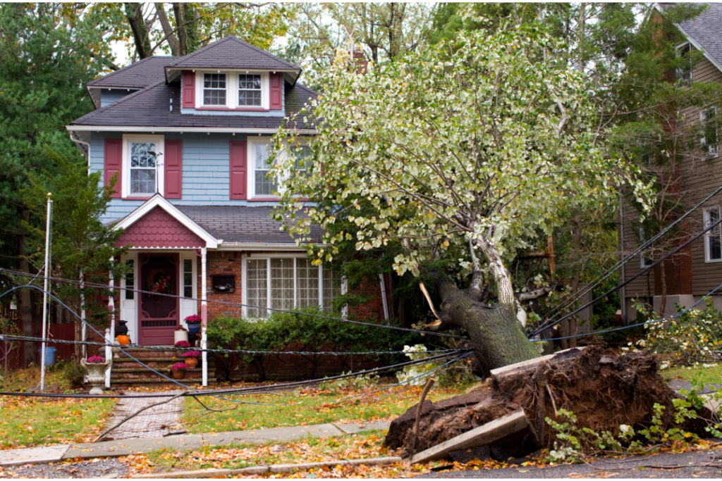 MGS Insurance | Typical Examples of Property Damage