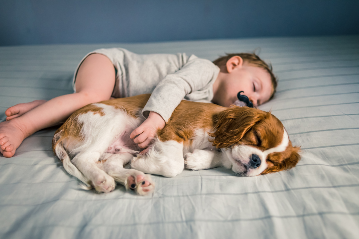 MGS Insurance | When Your Dog Meets Your New Baby!